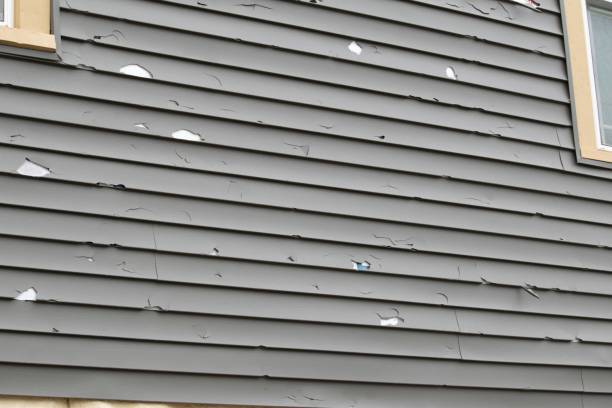 Best Stucco Siding  in Sparta, IL