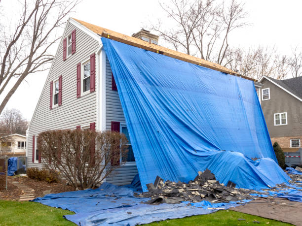 Affordable Siding Repair and Maintenance Services in Sparta, IL