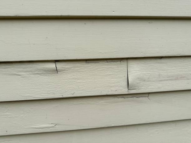 Best Storm Damage Siding Repair  in Sparta, IL